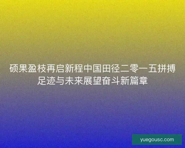硕果盈枝再启新程中国田径二零一五拼搏足迹与未来展望奋斗新篇章